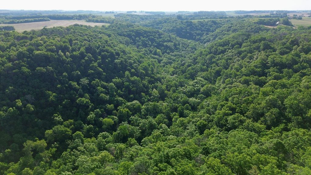 Image 4 of property listing at TBD 160th Avenue, Salem Twp, WI 54750