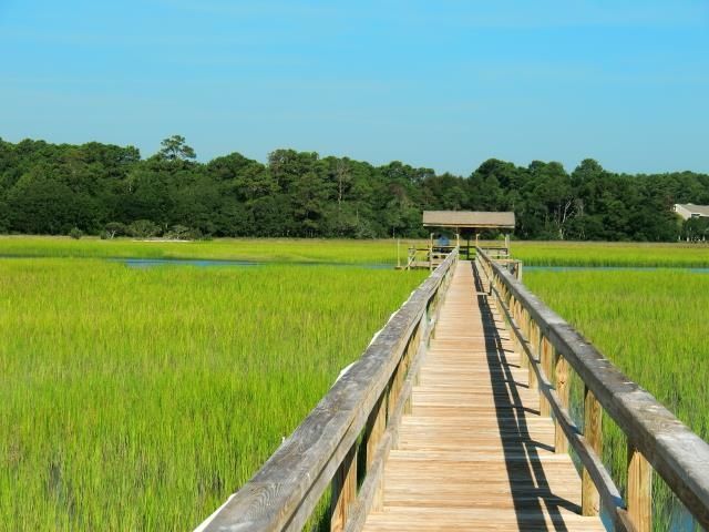 647 Norris Dr., Pawleys Island, SC 29585
