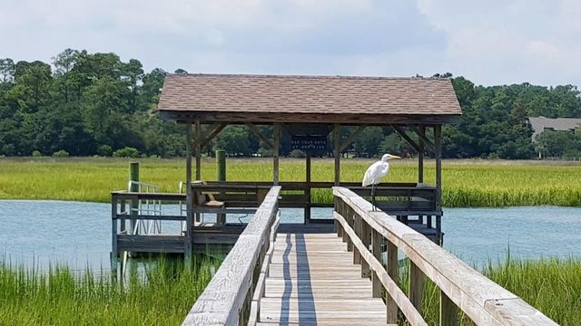 647 Norris Dr., Pawleys Island, SC 29585