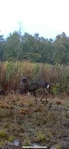 10712 US 331 N, Defuniak Springs, FL 32433