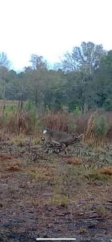 10712 US 331 N, Defuniak Springs, FL 32433