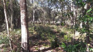 NE 45TH TERRACE, Citra, FL 32113