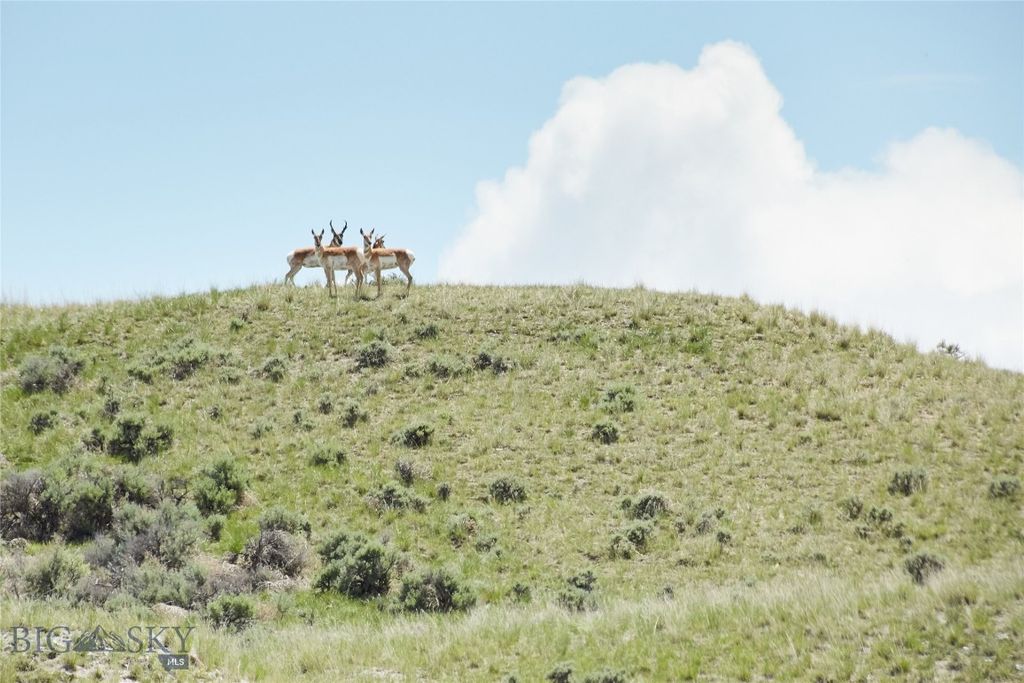 TBD Shoddy Springs Road, Three Forks, MT 59752 photo 3