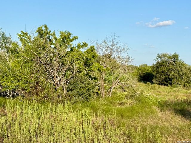 0 CR 132, Kenedy, TX 78119