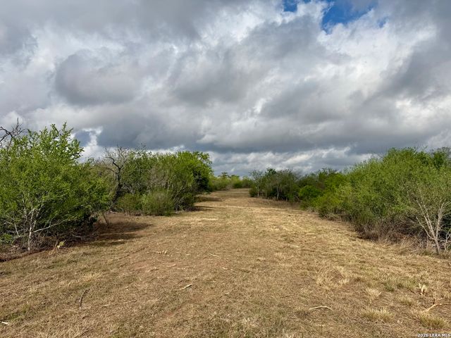 0 CR 132, Kenedy, TX 78119