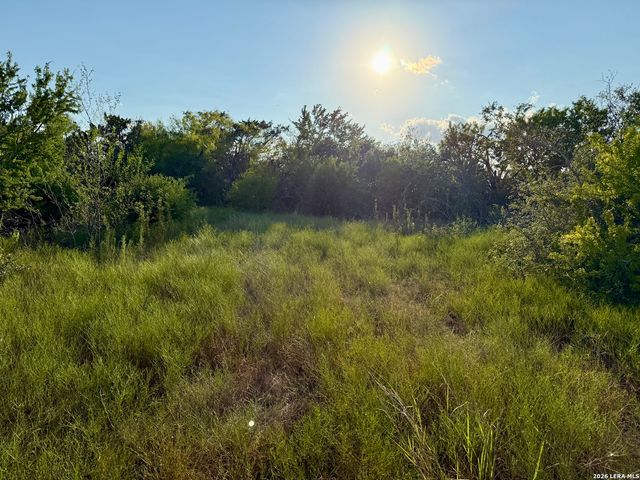 0 CR 132, Kenedy, TX 78119