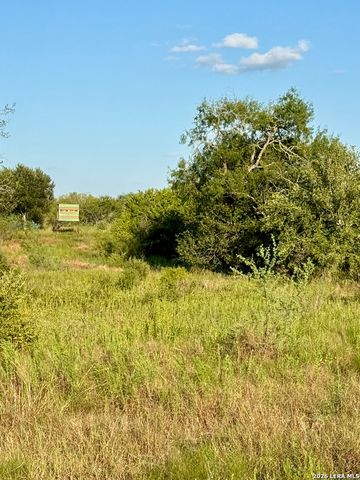 0 CR 132, Kenedy, TX 78119