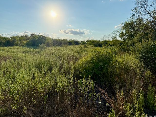 0 CR 132, Kenedy, TX 78119