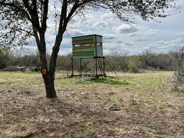 0 CR 132, Kenedy, TX 78119