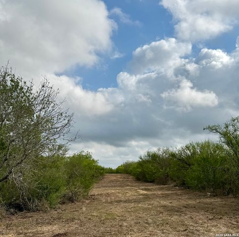 0 CR 132, Kenedy, TX 78119