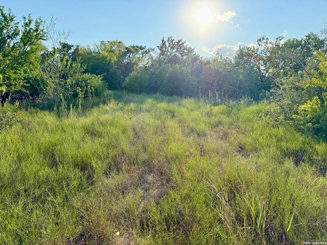 0 CR 132, Kenedy, TX 78119