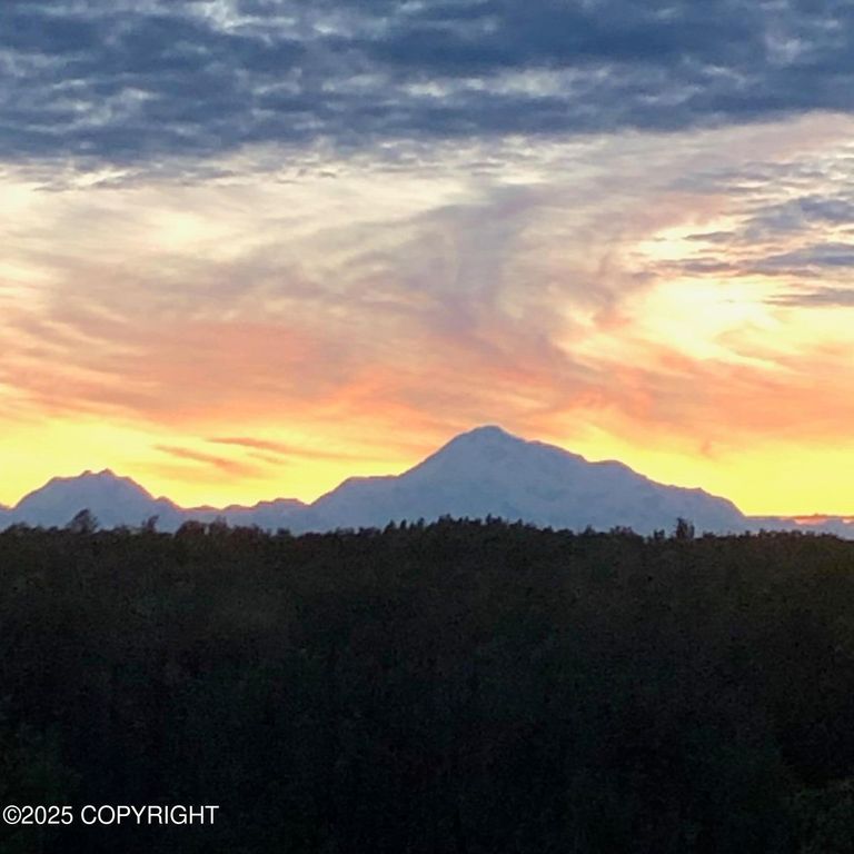 16111 E Nosey Avenue, Talkeetna, AK 99676