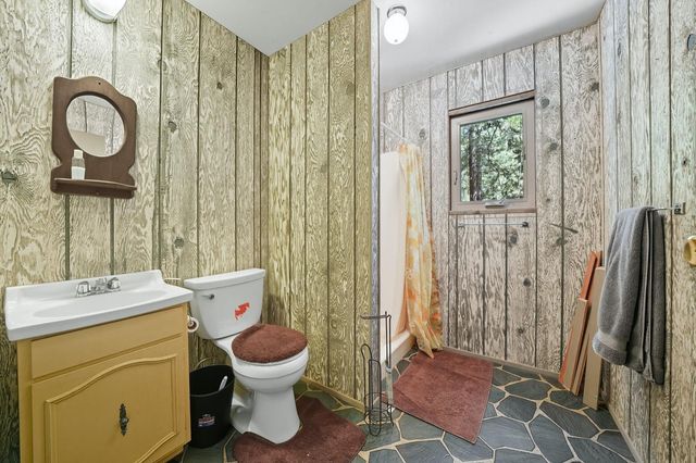 26480 Crawley Ln, Pioneer, CA 95666