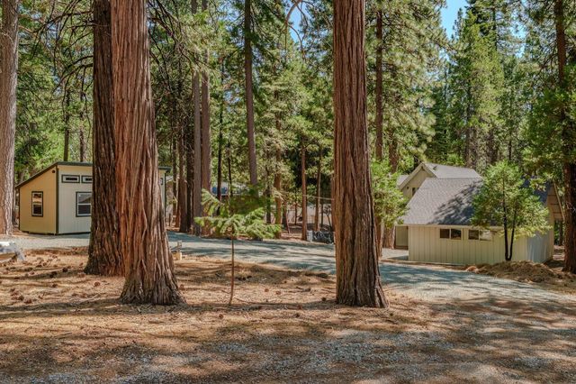 26480 Crawley Ln, Pioneer, CA 95666