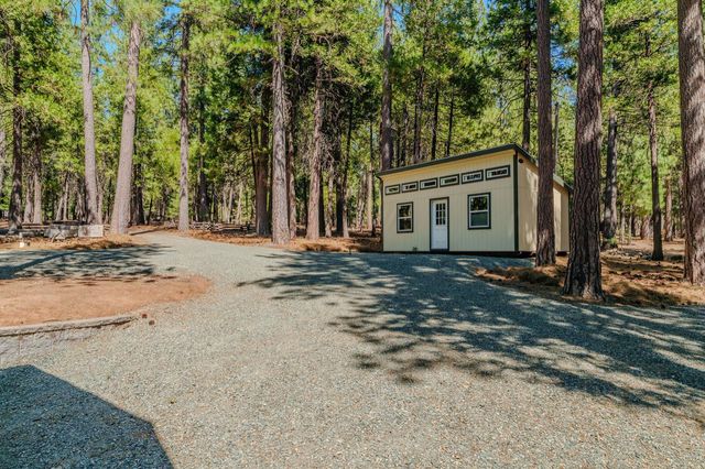 26480 Crawley Ln, Pioneer, CA 95666