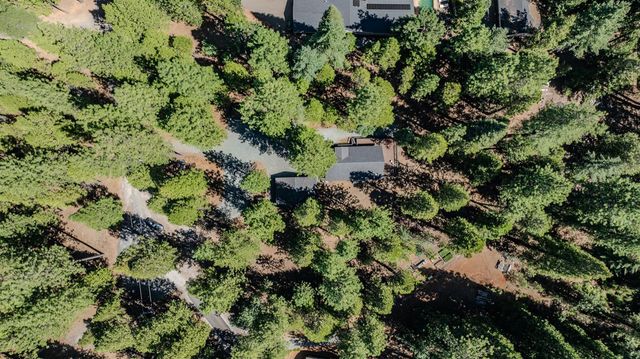 26480 Crawley Ln, Pioneer, CA 95666