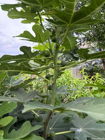 12260 Buckaroo Ranch, San Antonio, TX 78254