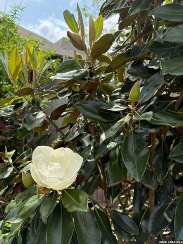 12260 Buckaroo Ranch, San Antonio, TX 78254