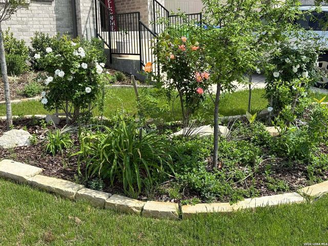 12260 Buckaroo Ranch, San Antonio, TX 78254