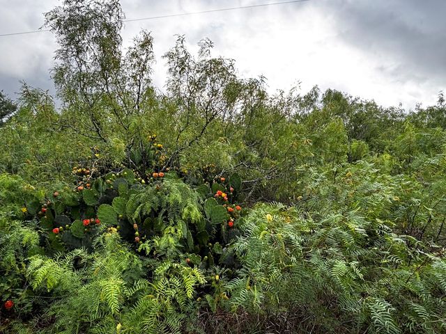 805 County Road 467, Thrall, TX 76578