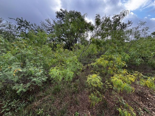 805 County Road 467, Thrall, TX 76578