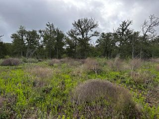 683 County Road 467, Thrall, TX 76578