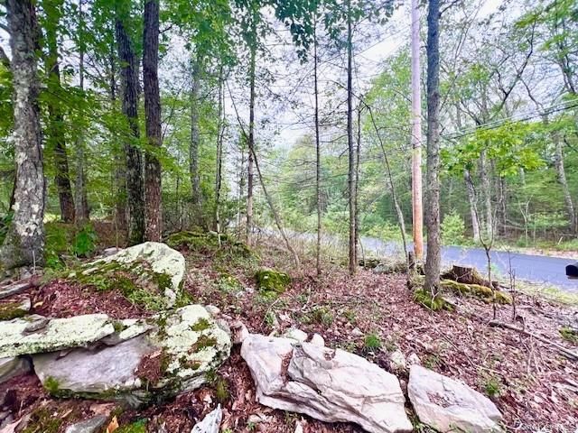 52 Devlin Road, Highland Lake, NY 12743