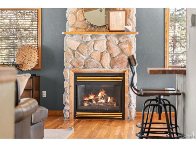 294 Kudu Trail, Bailey, CO 80421