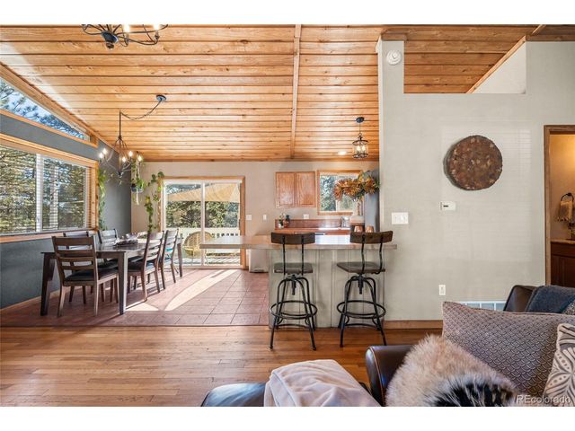 294 Kudu Trail, Bailey, CO 80421