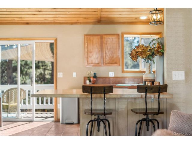 294 Kudu Trail, Bailey, CO 80421