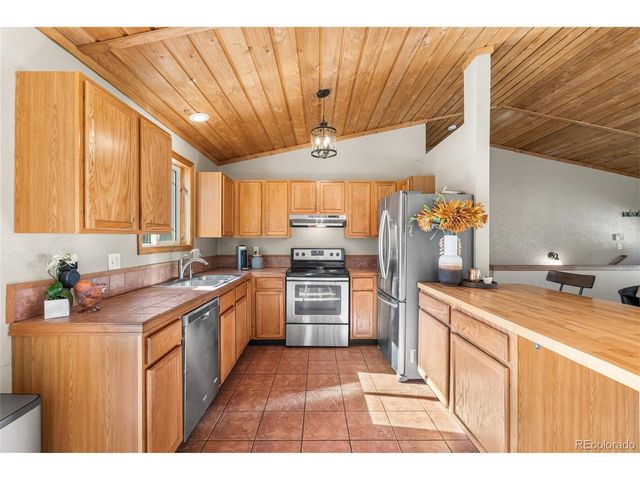 294 Kudu Trail, Bailey, CO 80421