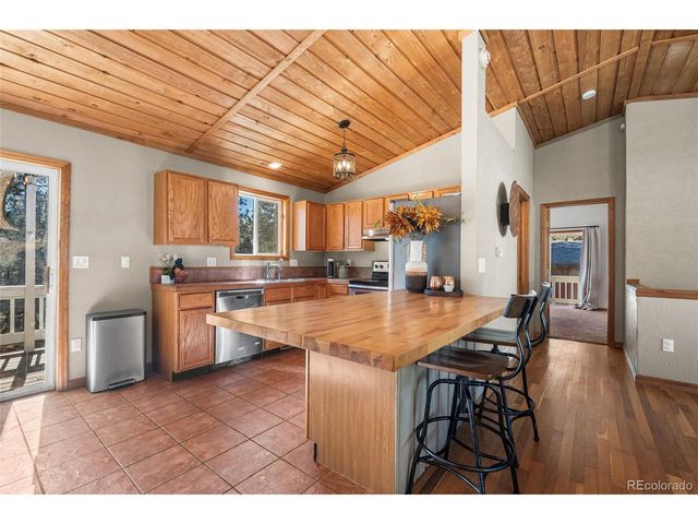294 Kudu Trail, Bailey, CO 80421
