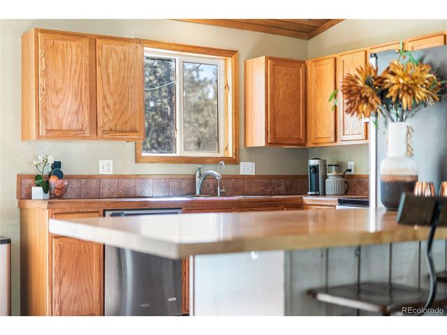 294 Kudu Trail, Bailey, CO 80421