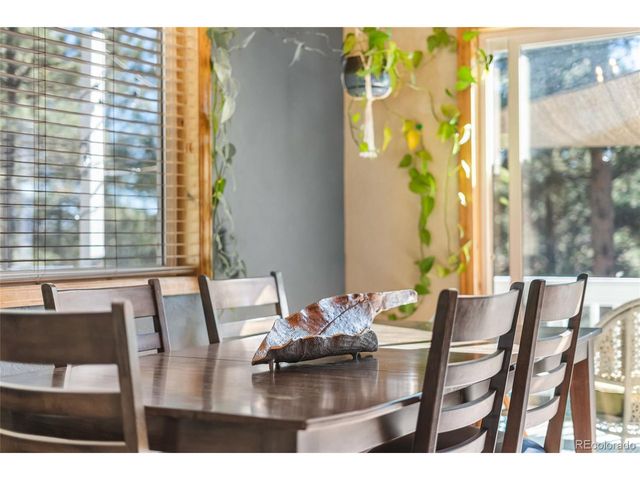 294 Kudu Trail, Bailey, CO 80421