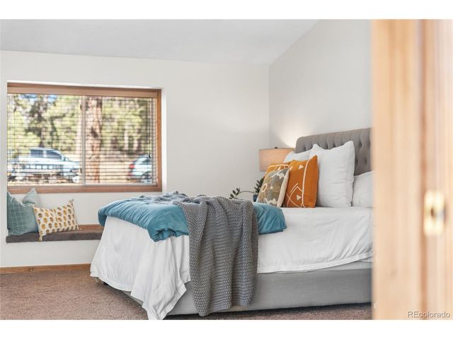 294 Kudu Trail, Bailey, CO 80421