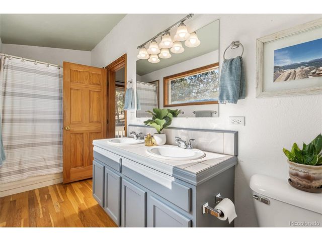 294 Kudu Trail, Bailey, CO 80421