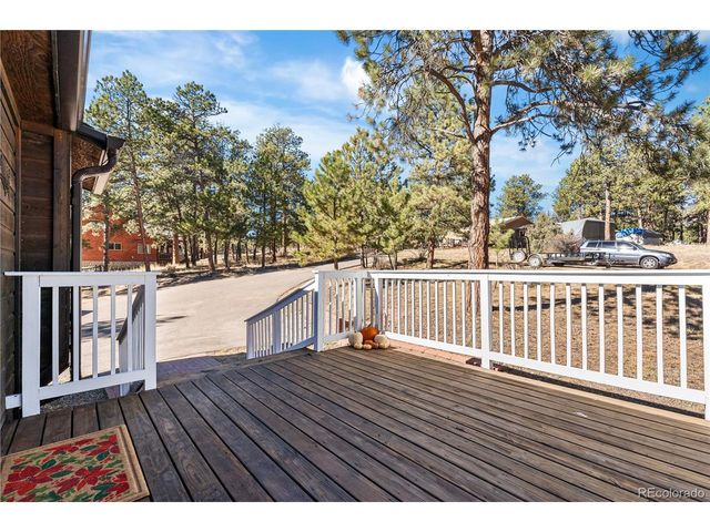 294 Kudu Trail, Bailey, CO 80421