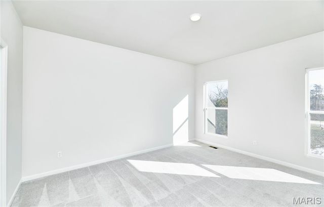 1824 Oak Drive, Festus, MO 63028