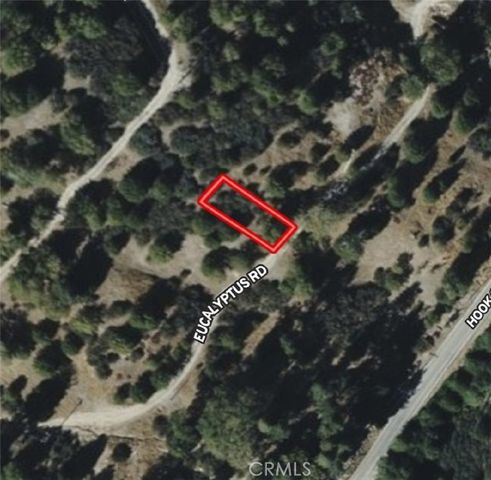 620 Eucalyptus, Cedar Glen, CA 92321