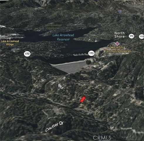 620 Eucalyptus, Cedar Glen, CA 92321