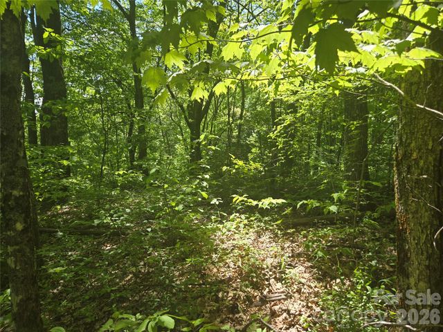 000 Greenspire Road, Sylva, NC 28779