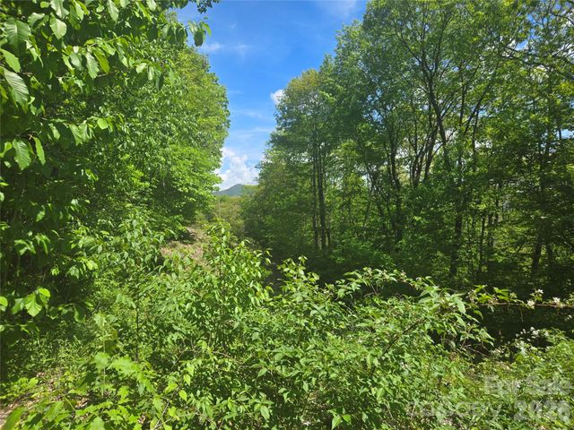 000 Greenspire Road, Sylva, NC 28779