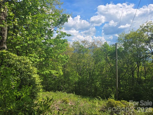000 Greenspire Road, Sylva, NC 28779