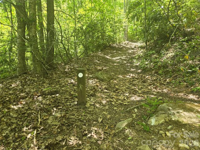 000 Greenspire Road, Sylva, NC 28779