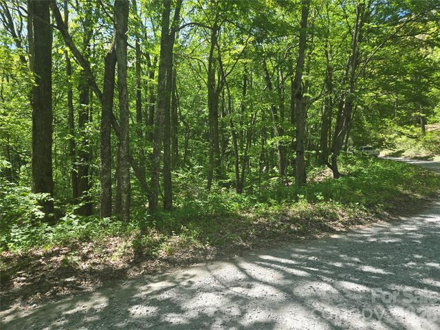 000 Greenspire Road, Sylva, NC 28779