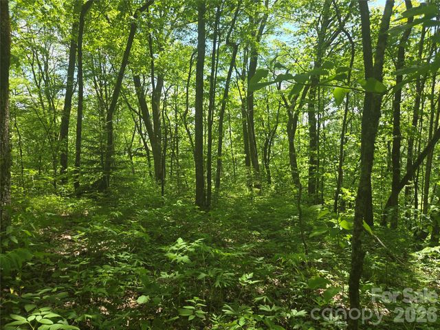 000 Greenspire Road, Sylva, NC 28779