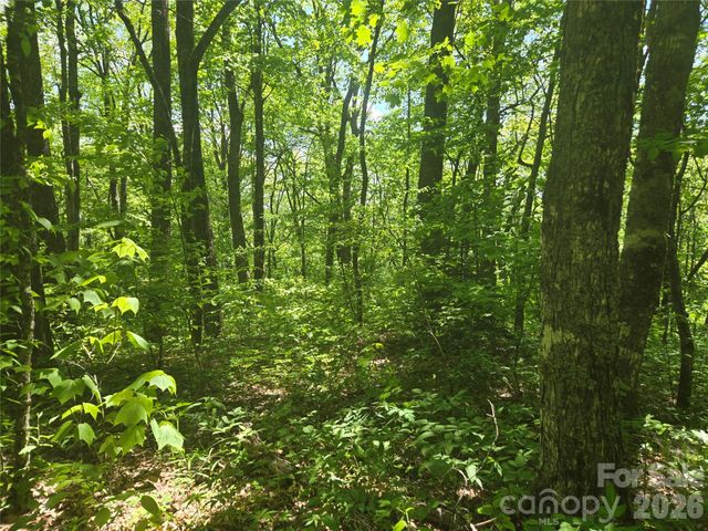 000 Greenspire Road, Sylva, NC 28779