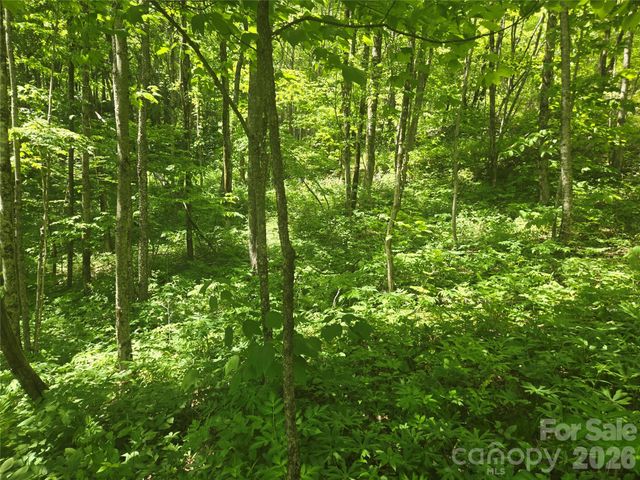 000 Greenspire Road, Sylva, NC 28779