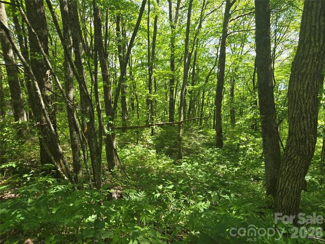000 Greenspire Road, Sylva, NC 28779