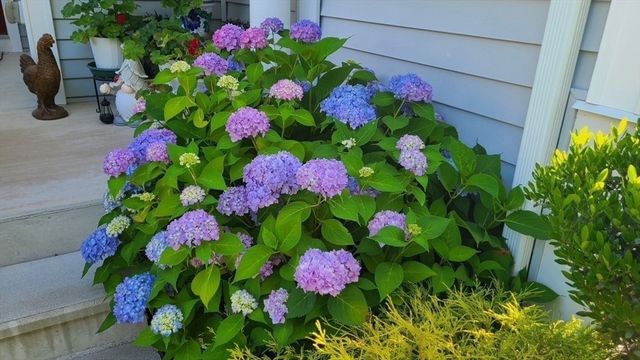 35 Greenside Ln 35, Acton, MA 01720